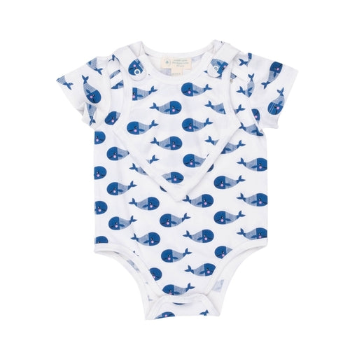 12-18 M / Blue Whale
