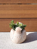 Terracotta Pot - Turtle Dove