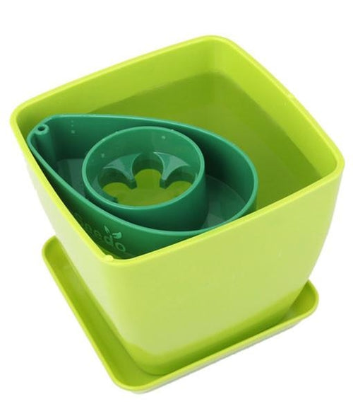 Green Pot / Green AvoSeedo